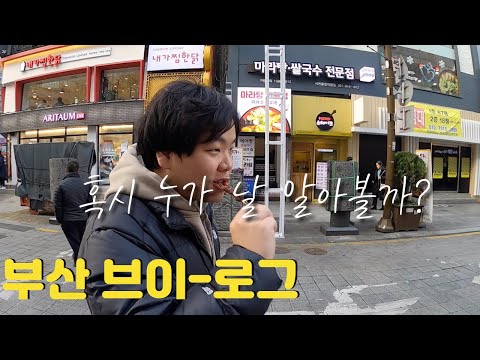 An Azerbaijani YouTuber's Busan Adaptation Vlog - Mukbang, Haircut