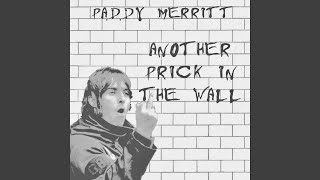 Another Prick in the Wall