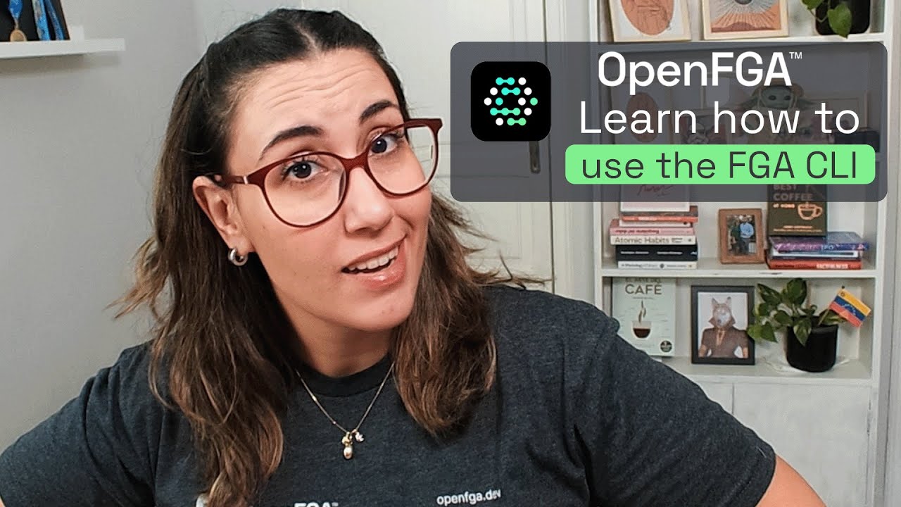 How to use the FGA CLI
