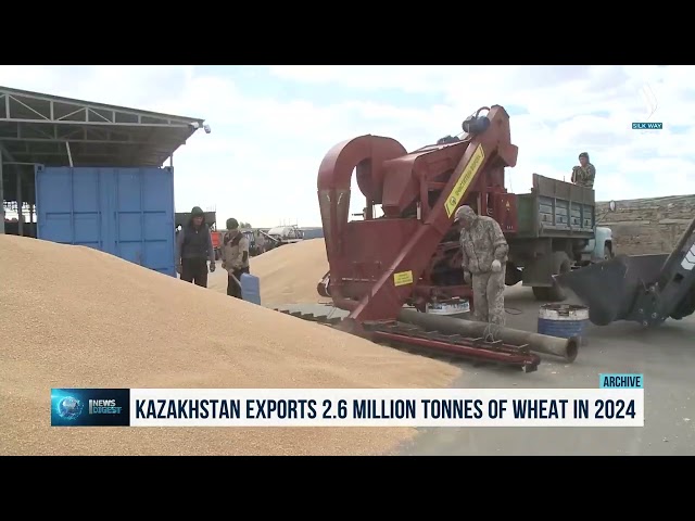Kazakhstan exports 2.6 million tonnes of wheat in 2024