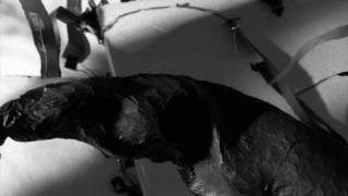 Explosions in the sky- first breathe after coma & Mogwai- sine wave  (Edward - by Natan)