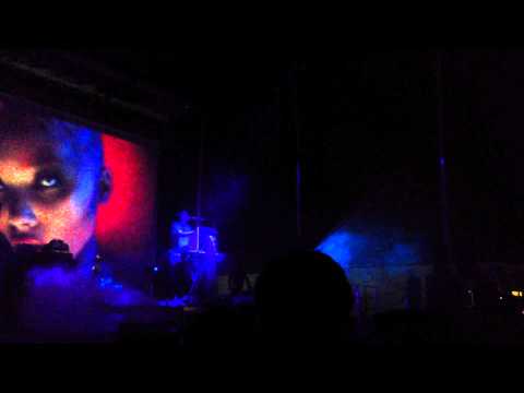 Panda Bear - New Song Pysch Fest 2014