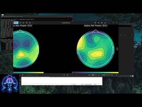 Windows Install Video