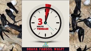 Download lagu SP 3-MENIT TERBAIK Adalah Suara Panggil Walet Banyak Peminatnya mp3