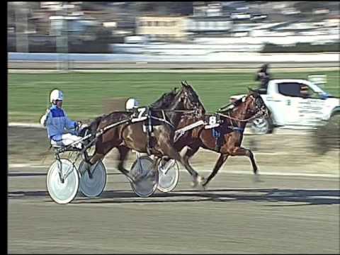 Trotto 10/02/2017 - 2ª corsa