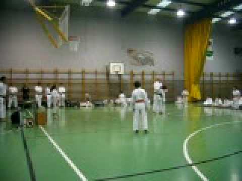 exhibición del día del deporte 2009 por la escuela de karate villamuriel
