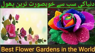 Most Unique flowers in the world |Most beautiful roses in the world|Best flower gardens in the world