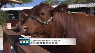 Miniatura do vídeo