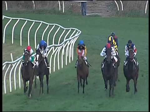 Galoppo 02/12/2015 - 5° corsa