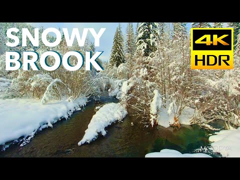 4K HDR Gently Flowing Snowy Brook * Relaxing Sounds of Nature * HDR TV Background Video