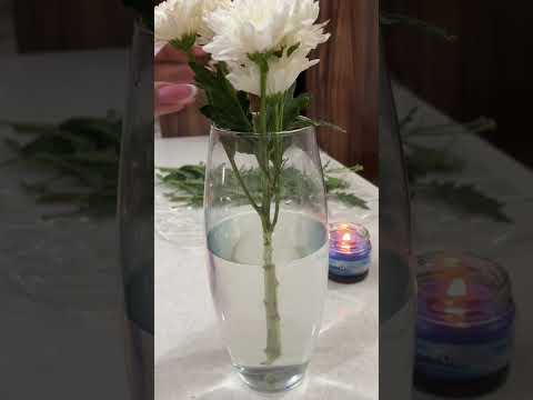 Obsessed!Trimmed my white mums&gave them a secret boost ✨ Wanna know the trick?Comment! #flowercare