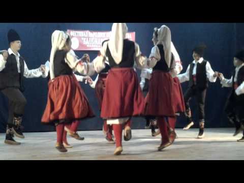 Kud Vitoševac u Velikoj Drenovi