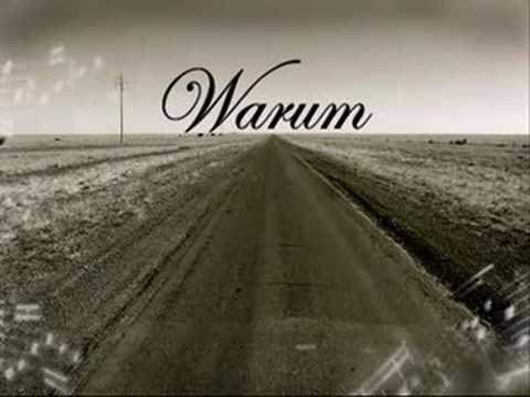 TobSpin - Warum (2008)