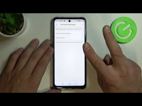 How to Manage Google Assistant Language on TCL 20L | Google Assistant