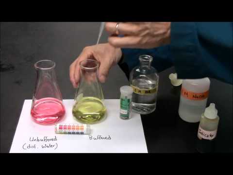 Buffer Demonstration 2 0 for Avid