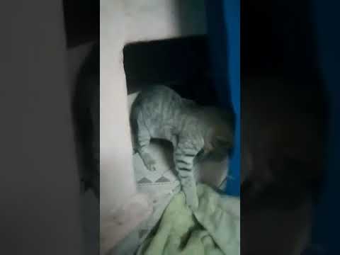 see her home she will not come out