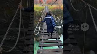 猫さんが走ったせいで、橋から落下する女子校生。 #ai #sora #shorts