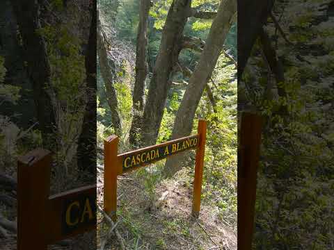 Cascada Arroyo Blanco - Villa Traful