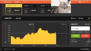【FX】1万円から始める為替取引【BO】42