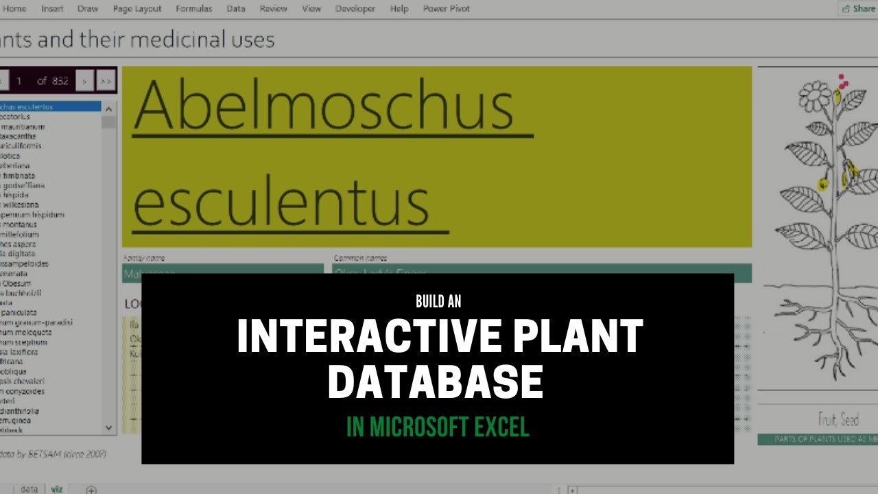 Build an interactive plant database in MS Excel