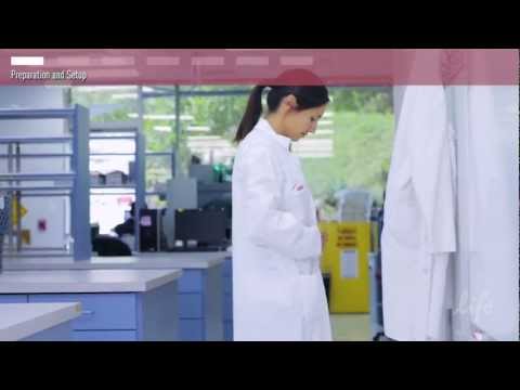 siRNA Transfection Protocol