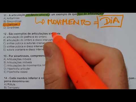 Questões de Anatomia