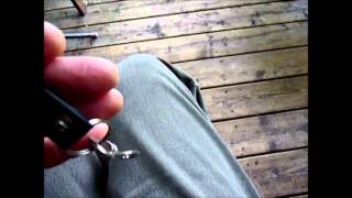 Blind Dog Walking Tool