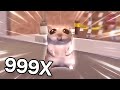 Damn Mommy I Just Wanna Hamster Meme But 999X Speedd Damn Mami I Just Wanna Meme