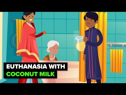 India - Where Coconut Milk is a Murder Weapon