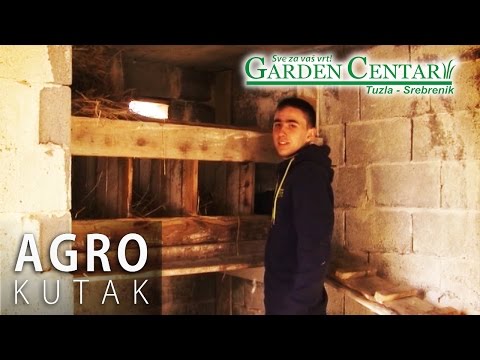 Agro kutak - Biznis prije punoljetstva - 27.12.2016.