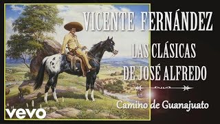 Vicente Fernández - Camino de Guanajuato - Cover Audio