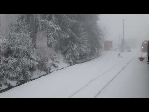 Harzer Schmalspurbahn 2023 / Die Selketalbahn im Winter 2023