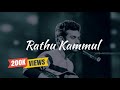Dilsara Rathu Kammul Official Audio 2025 මගෙ ශ්‍රියාවී අඩ මානය�