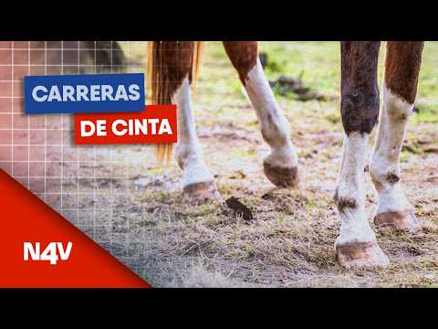 Carreras de cinta en San Sebastián, San Vicente | Noticias 4 Visión