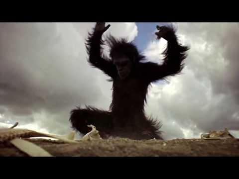 Death Grips - Inanimate Sensation (Unofficial)