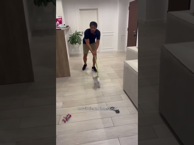 Vídeo relacionado con Enseña a tu Perro a Ir al Baño
