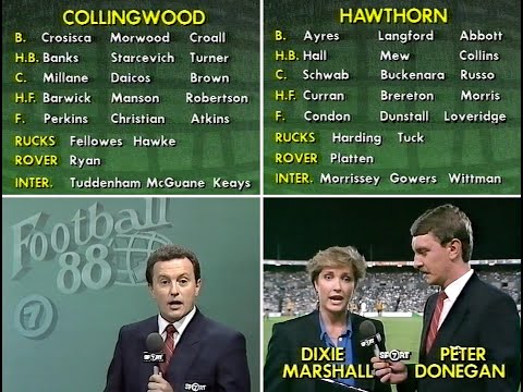 March 9th 1988 Panasonic Cup Qualifying Final - Collingwood v Hawthorn. Waverley Park.