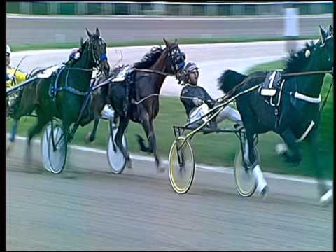 Trotto 08/04/2016 - 8° Corsa