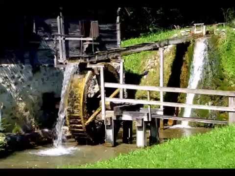 ZVONAREVIC KATARINA -  ZAVICAJ JE MENI DRAG