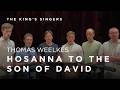 Weelkes Hosanna To The Son Of David The King S Singers In Rehearsal