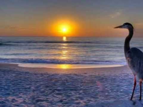 龍千玉-黃昏相思曲