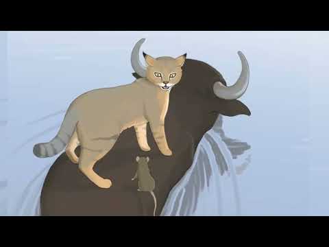The Story of the Chinese Zodiac - The Great Race A2-B1