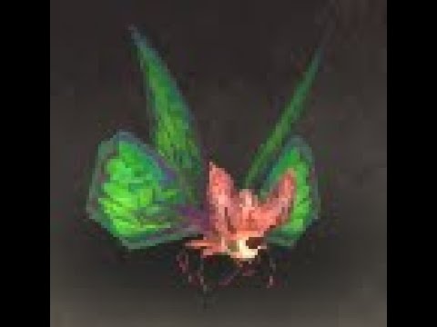 Eastern Kingdoms Safari: Crimson Moth Battle Pet, The Cape of Stranglethorn, WoW Retail