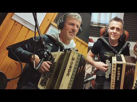 Vojko Krivc - Harmonika