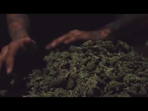 DELPECK MENDOZA FT.NETO REYNO//NO LO PIENSO DEJAR(VIDEO OFICIAL)