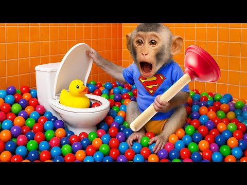 Monkey Baby KaKy discovers a duckling in the toilet full of colorful balls! – MONO KAKY