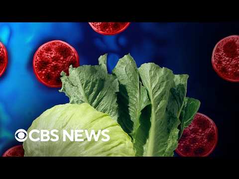 Michigan reports 2 deaths in cyclosporiasis outbreak