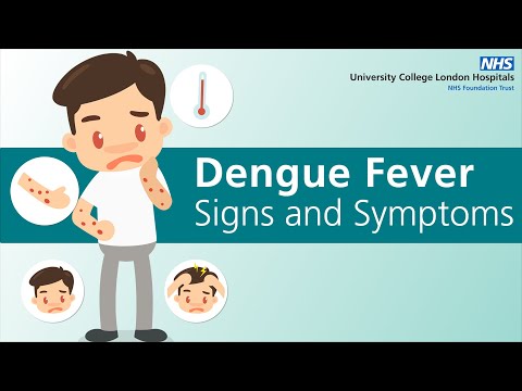 What are the signs and symptoms of dengue fever?