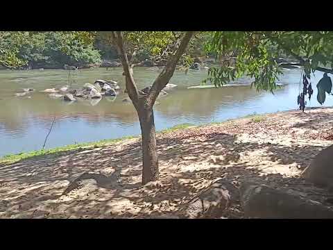 Rio Claro Israelandia Goiás 