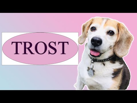 Meditation “Journey to your deceased animal”